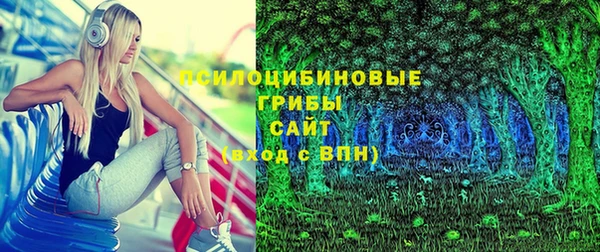 мет Арсеньев