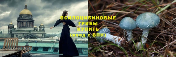 мет Арсеньев