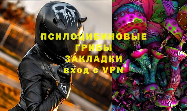 молекула духа Аркадак