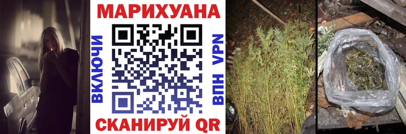 Конопля план  купить  сайты  Курганинск 